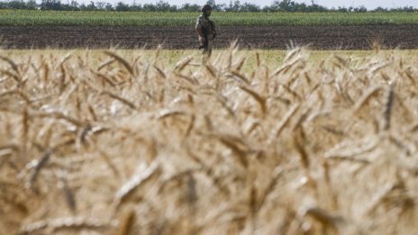 Български кораб ще мине първи по зърнения коридор от Черноморск