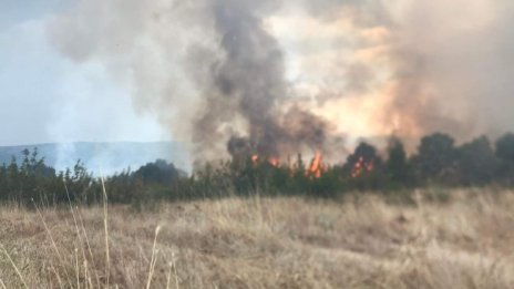 Голям пожар бушува в Сакар планина