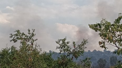 Военни се включиха в потушаването на пожара край село Брягово