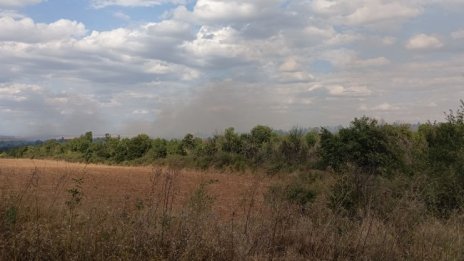 Пожарникари спасиха четири къщи от пожар