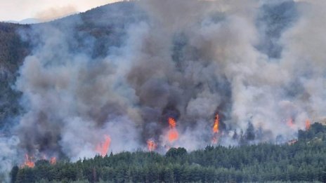 Има вероятност горски пожар у нас да стигне до Одрин