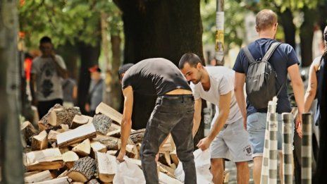 Въвеждат забрана за износ на необработена дървесина