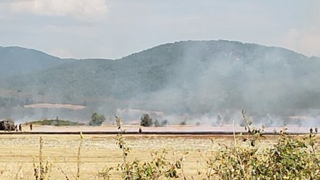 Пожар в птицекомбинат край Враца унищожи и земеделска земя