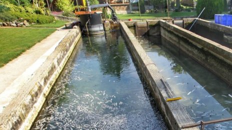 Своге отново на сухо, този пък авария остави града без вода 