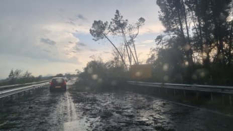 Спасен е мъжът, който падна от яхта по време на бурята в Бургас 