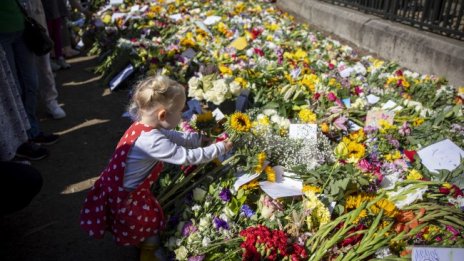 Цветята, оставени в знак на почит на Елизабет ІІ, ще се компостират