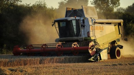 Кукушева: Хлябът в България не е от украинска пшеница