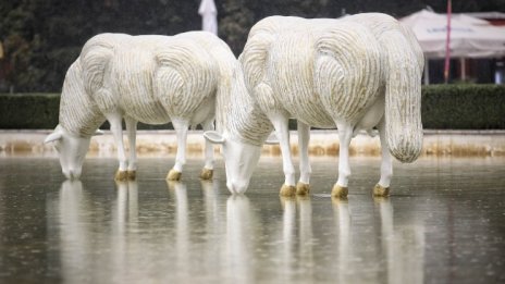 В кадър: "Водна паша" в Южния парк в столицата