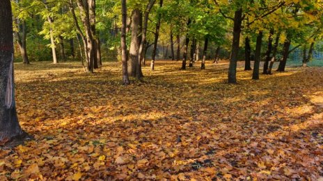 Времето днес: Топло за сезона с разкъсана облачност