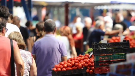 Земеделци се отказват да произвеждат продукция