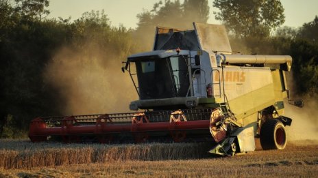 Заради вноса от Украйна: Ядем хляб с нискокачествена пшеница, заразена с патогени