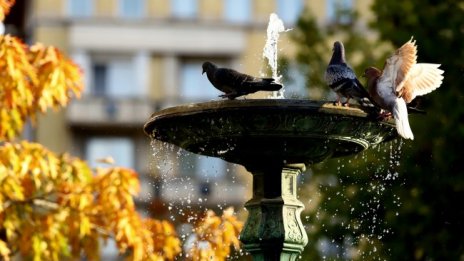 Слънчев и топъл уикенд ни чака, градусите до 23°