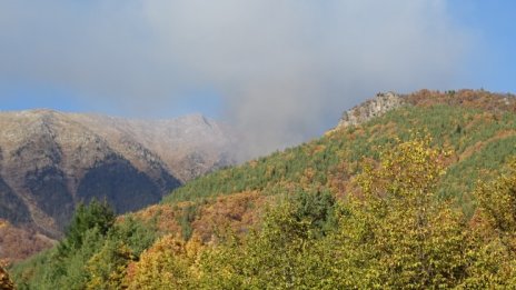 Пожарът в Рила е ограничен, няма опасност да се разрасне