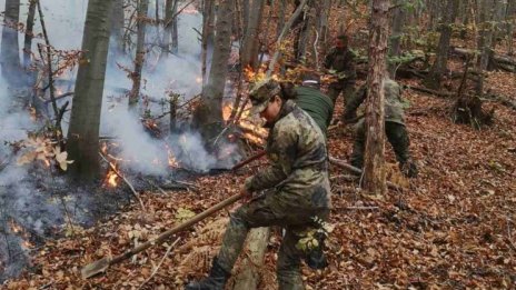 Пожарът на българо-гръцката граница е под контрол