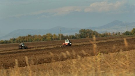 България първа по селскостопанска продукция в ЕС