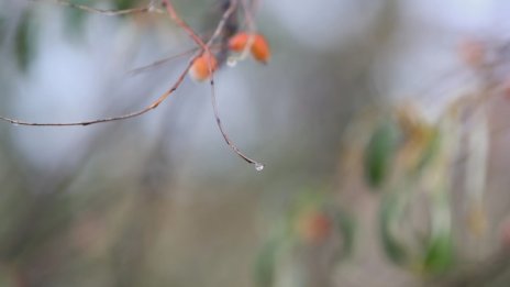 Уикендът облачен, на много места с валежи от дъжд