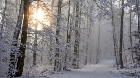 Градусите падат от неделя, сняг ще вали и в ниските части 