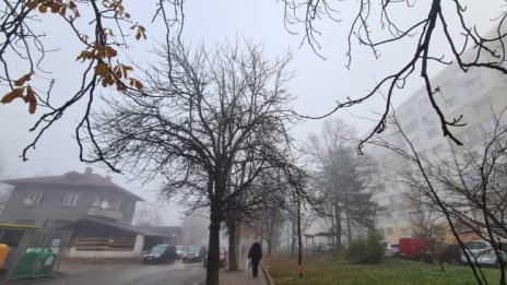 Времето днес: Хладно, с валежи в Западна България