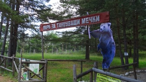 Мечките в столичния зоопарк заспиват зимен сън