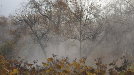 Мъгли в петък сутринта, после градусите скачат до 19°