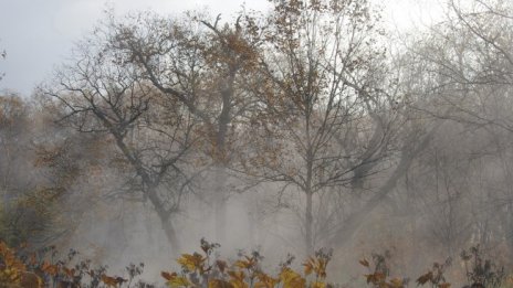 В неделя времето остава топло с градуси до 19° 