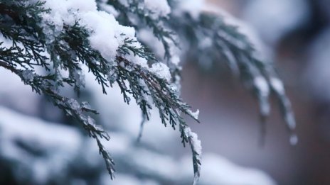 От неделя застудява, максималните температури до 10°