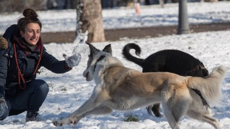 Няма завишени нива на амоняк в България