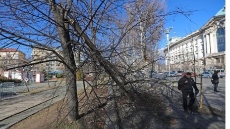 Силният вятър ще ни тормози и в четвъртък, времето остава топло