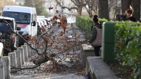 Жълт код за опасно време в 10 области в страната