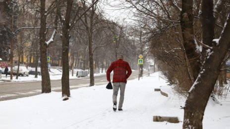 Обработки срещу заледяване във всички райони на София