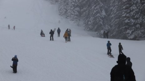 Витоша вече е оживена, закъснялата зима откри сезона