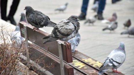 Облачно ще е в неделя, с температури 9° - 14°