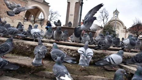 Времето днес: Слънчево, градусите ще стигнат до 16