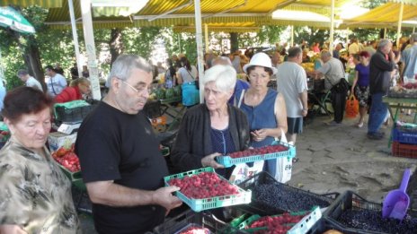 Протест на производителите на ягоди