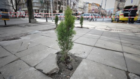 Нова гора никне в сърцето на София, мястото - площад "Света Неделя" 