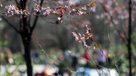 Времето днес: Все още топло, но дъждовно