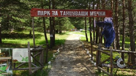 Всички мечки в парка в Белица вече са будни