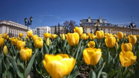 Топло време от сряда, следващата седмица отново ще е хладно 