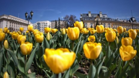 Слънчево и топло във вторник, градусите до 27°