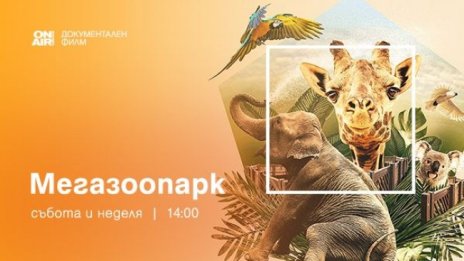 Документалната поредица "Мегазоопарк" премиерно по Bulgaria ON AIR