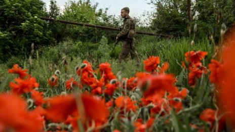 Южна Африка готова да е домакин на мирни преговори Русия - Украйна