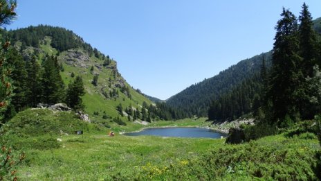 Половината българи са притеснени от замърсяването на природата