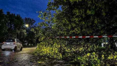 Стотици инциденти при силна буря в Берлин