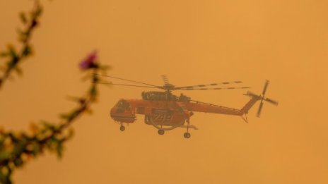 Нов пожар в Гърция, евакуират 4 села на Пелопонес