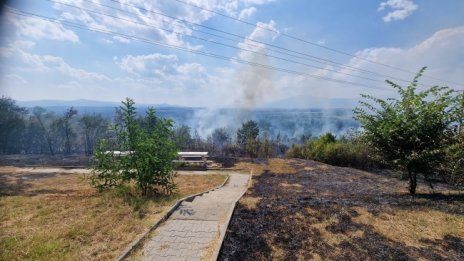 Пожар пламна в казанлъшкия парк "Тюлбето"