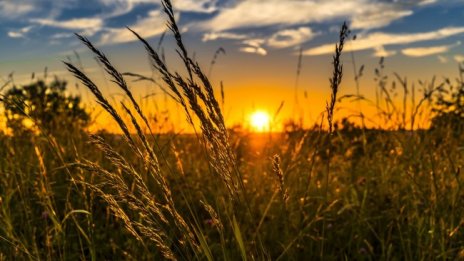 Слънчево и горещо и днес, градусите до 36°