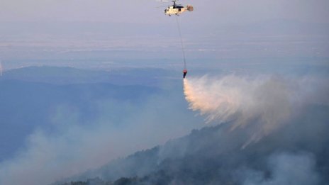 Над 150 пожара в Гърция, арести за умишлен палеж