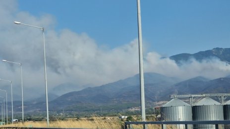 Вълна от расистки погроми след пожарите в Гърция