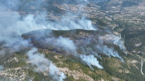 Целият пожар край Хвойна е овладян