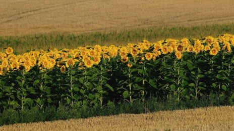 Земеделието има решение на водната и продоволствената криза 